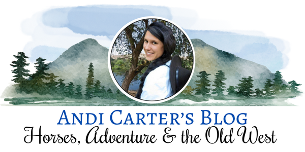 Andi Carter's Blog