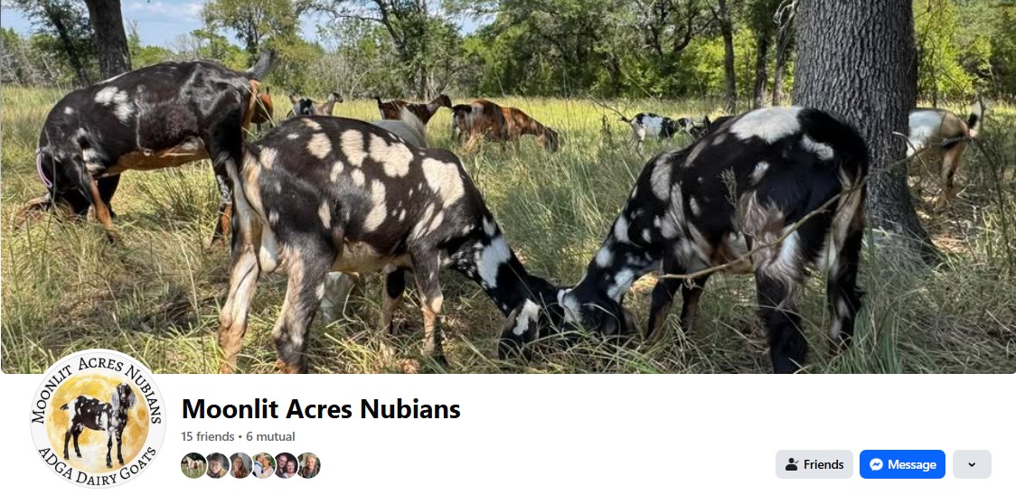 🔎 January: What Am I?